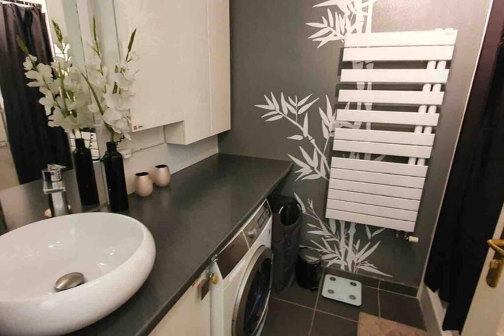 Tichnich Appartement - 2 Bedrooms - 1 Min Away From Train Station Annemasse Zewnętrze zdjęcie